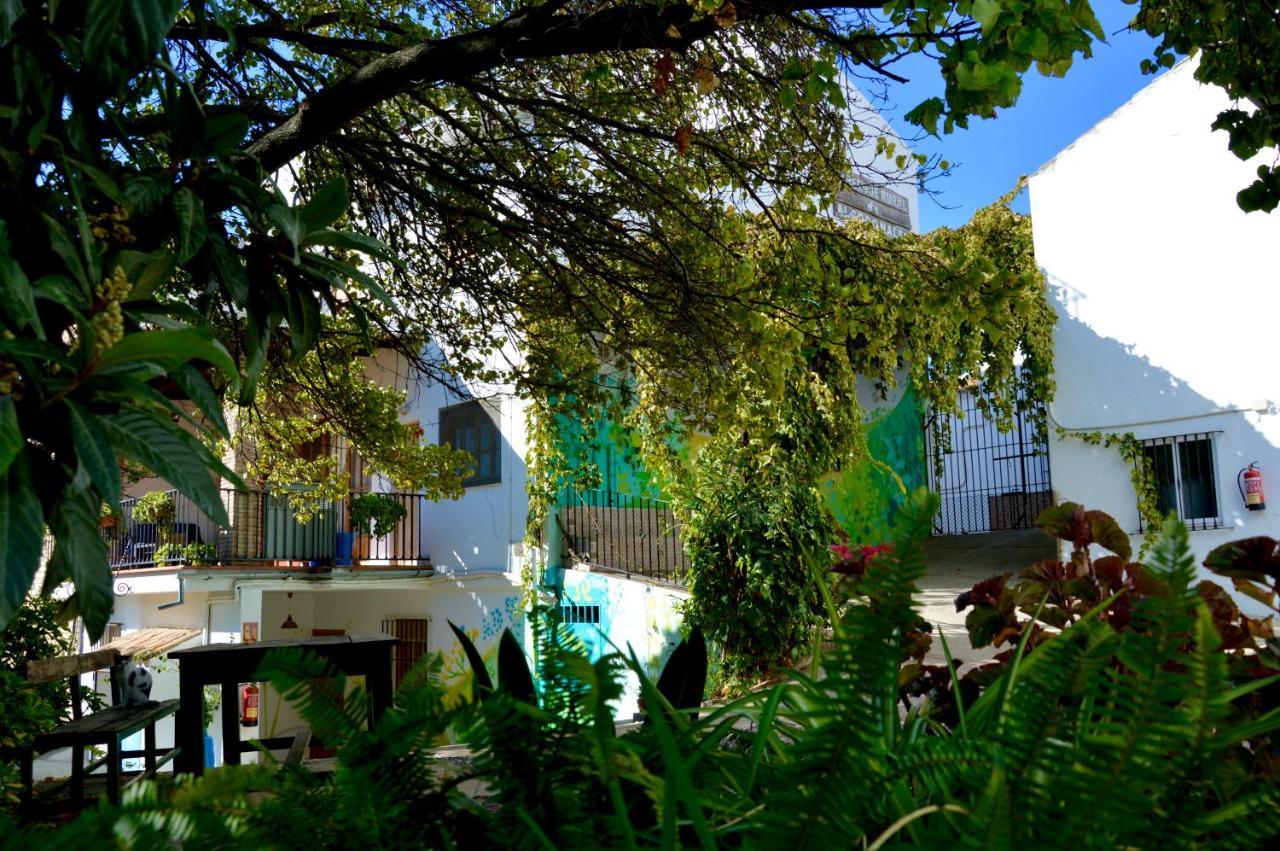 Ecoalbergue Rural De Algodonales Esterno foto