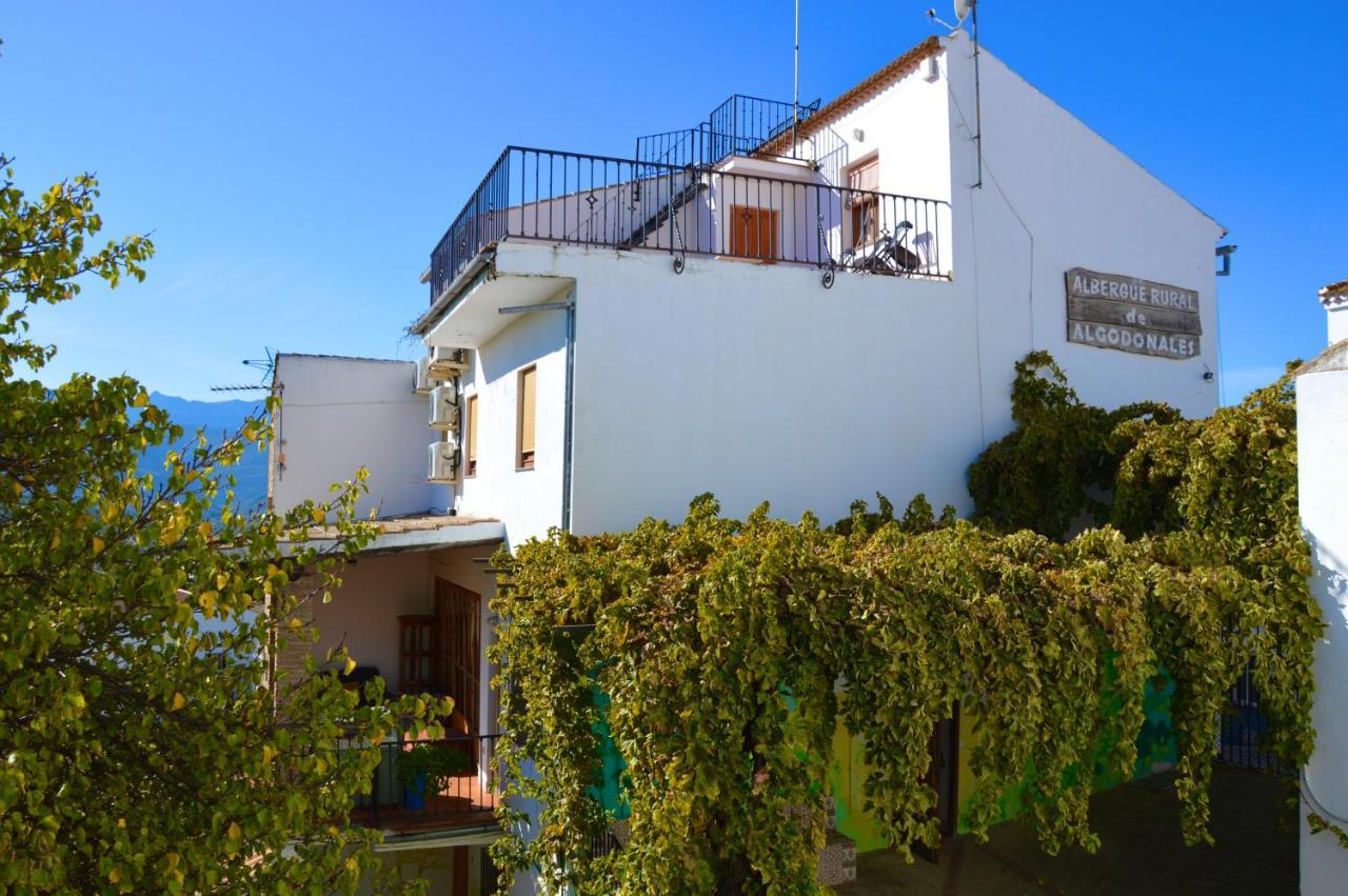 Ecoalbergue Rural De Algodonales Esterno foto