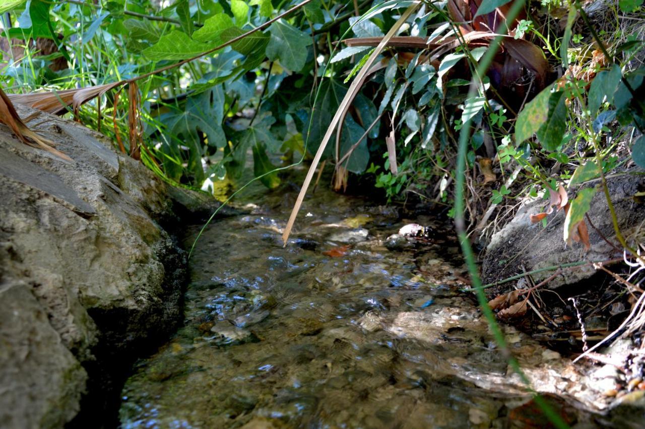 Ecoalbergue Rural De Algodonales Esterno foto