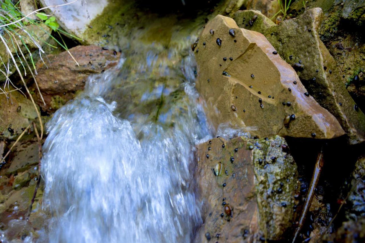 Ecoalbergue Rural De Algodonales Esterno foto