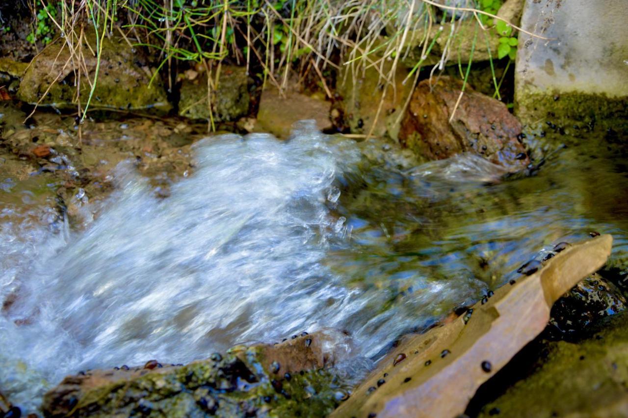 Ecoalbergue Rural De Algodonales Esterno foto
