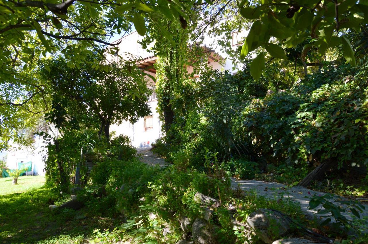 Ecoalbergue Rural De Algodonales Esterno foto